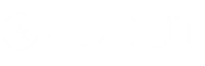 Scout BAM 2